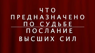 ☸️ ПОСЛАНИЕ ВЫСШИХ СИЛ ДЛЯ ВАС...ЧТО ПРЕДНАЗНАЧЕНО СУДЬБОЙ / Расклад Таро /Прогнозы гороскопы