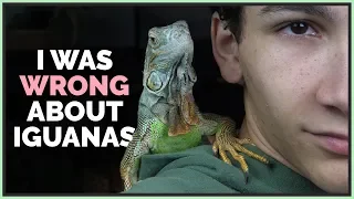 I Was Wrong About Iguanas! My New Green Iguana Experiences