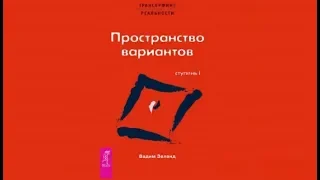 Пространство вариантов | Вадим Зеланд (аудиокнига)