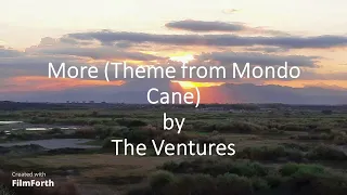 The Ventures - More (Theme from Mondo Cane)