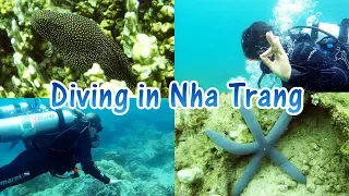 Самый лучший дайвинг в Нячанге, Вьетнам | Diving Nha Trang, Vietnam