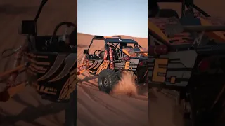 Dune Buggy Safari