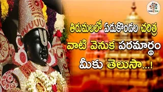 Do You Know The History Of 7 Hills In Tirumala || Lord Venkateswara || Tirumala || Devotional Tree