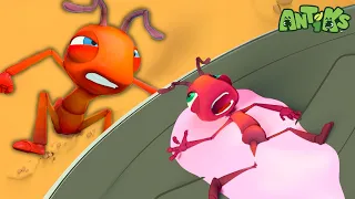 Get out of the GUM! | 1 Hour of ANTIKS Episodes | Moonbug No Dialogue Comedy Cartoons for Kids