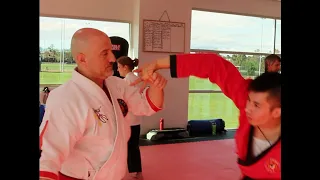 Wally Jay 's Finger & Joint Locking Flow Drills  - 'Dances of Pain' by Master Mark Kline & Claudius