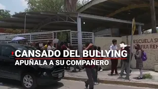 ¡Basta de Bullying! Se defendió de su agresor