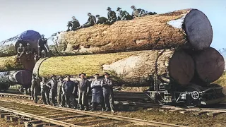 Log to Lumber - How American Lumber is Made