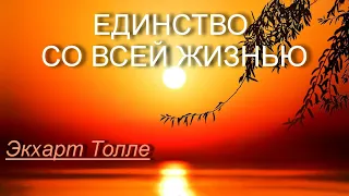 Единство со всей жизнью 7,8,9 главы [Экхарт Толле, озв. Никошо ]