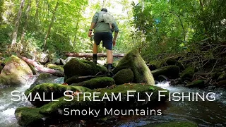 SMALL STREAM Fly Fishing in the SMOKY MOUNTAINS