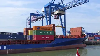 Rotterdam Niederlande Containerhafen 4K