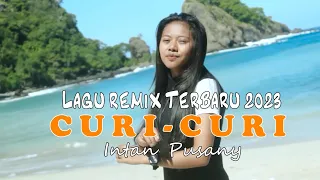 Lagu Remix Terbaru 2023_CURI-CURI_Intan Pusany