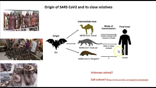 MCRO 320-SARS CoV2 Origin (Dr  Pat Fidopiastis)