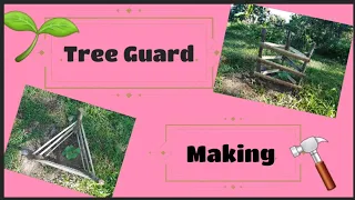 Week 3: Sapling Update ft. Tree Guard Making | Alvarez