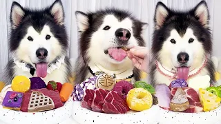 A mukbang that eats chunks of raw beef | Best ASMR Dog In The World #eat broadcast #eatinsounds