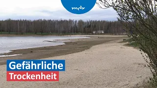 "Mangelware" Wasser: Seen trocknen langsam aus | Umschau | MDR