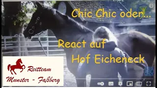 Chic Chic oder... React einen "unfassbar schwierigen Fall" auf Hof Eicheneck