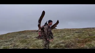 Double Bull Alaska Moose Fly In Drop Camp