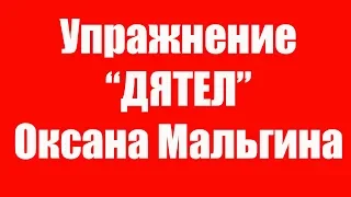 Артикуляционное упражнение Дятел. Упражнение Дятел как сделать правильно? Детский логопед.