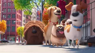 Secret Life of Pets - Trailer G (Universal Pictures)