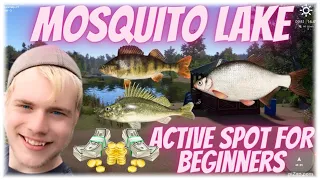 Russian Fishing 4 Mosquito Lake Active Spot For Beginners