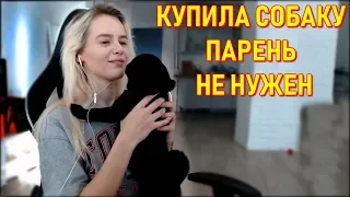 GTFOBAE | Купила Собаку - Парень Не Нужен