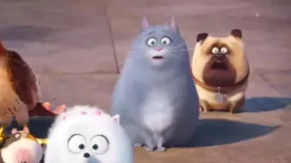 The Secret Life of Pets   Supercut   all clips & trailers 2016 Kevin Hart