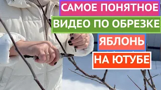 КАК ОБРЕЗАТЬ ЯБЛОНЮ ВЕСНОЙ: ПОКАЗЫВАЮ И РАССКАЗЫВАЮ ПРОСТЫМ И ПОНЯТНЫМ ЯЗЫКОМ!