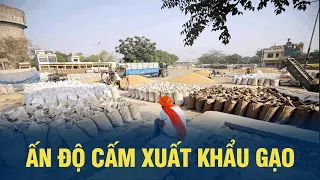 Ấn Độ cấm xuất khẩu gạo | VOV