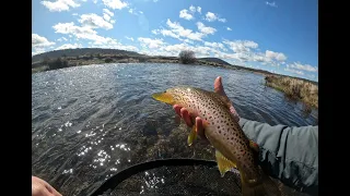 Eucumbene River - Day 2 -  Euro Nymphing Tactics