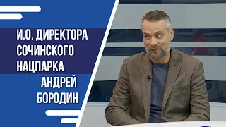 В 2023 году Сочинский национальный парк отмечает 40 лет с момента основания