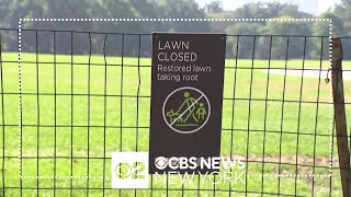 Central Park's iconic Great Lawn closed until next year