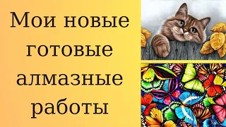 "Яркие бабочки" и "Деревенский кот". Готовые алмазные работы от российских производителей