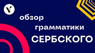 Обзор сербской грамматики