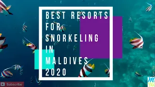 Best Resorts for Snorkeling in Maldives
