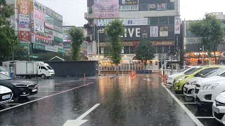 Korea Rain Walk in Downtown. Relaxing Sound for Sleep Study Meditation. White Noise ASMR.