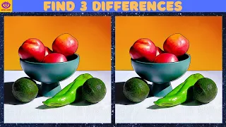 [Find the Difference] Puzzle Game - Part 289