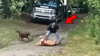 Grabe! Iniligtas Nya Ang Aso Sa Mountain Lion |  Dog Rescued By People Caught On Camera