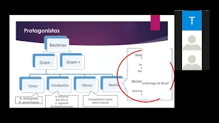 Reunião Clínica UTI Cirúrgica - Resistência Bacteriana em BGN