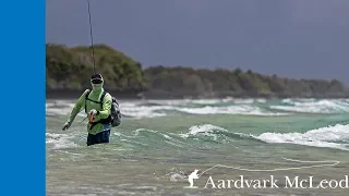 Top Ten Reasons to Fly Fish In Saltwater