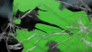 Crow bird attack green screen HD