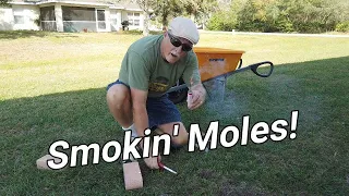 Smokin' Moles with the Giant Destroyer
