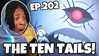 Ten Tails was REVIVED?! | Boruto Ep.202 Reaction