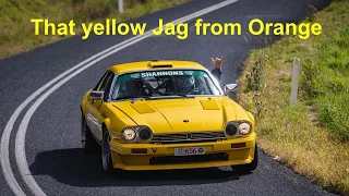 Unleashing Power: Mark Hammond's Thunderous XJS at Targa Tasmania!
