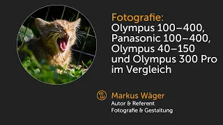 Olympus 100–400, Panasonic 100–400, Olympus 40–150 und Olympus 300 Pro im Vergleich