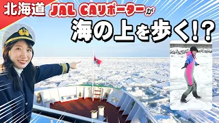【北海道】JAL CAリポーター　網走・知床で流氷体験！オホーツク海の上を歩いてみたらすごかった！