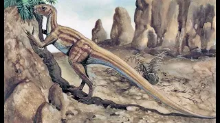 Heterodontozaur - jaszczur o zróżnicowanych zębach