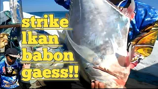 Mantab brow!! Strike ikan ebek babon mancing di laut dalam