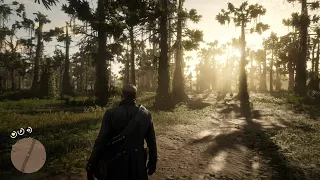 Xbox One X Red Dead Redemption 2 4k Gameplay