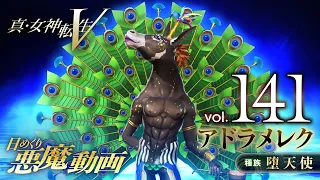 アドラメレク - 真・女神転生V 日めくり悪魔 Vol.141