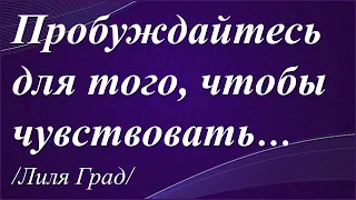 Пробуждайтесь для того, чтобы чувствовать… /Лиля Град/